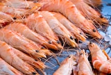 Crevettes Entières Cuites Réfrigérées en promo chez Auchan Supermarché Brive-la-Gaillarde à 3,79 €