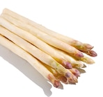 Spargel weiß/violett Angebote bei Netto mit dem Scottie Brandenburg für 5,49 €