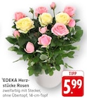 EDEKA Gerabronn Prospekt mit  im Angebot für 5,99 €