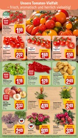 Kochtopf im REWE Prospekt in Hilden Aktueller REWE Prospekt mit Kochtopf, "Dein Markt", Seite 7