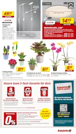 Aktueller toom Baumarkt Prospekt mit Orchidee, "Respekt, wer's selber macht.", Seite 3