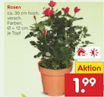 Rosen im Netto Marken-Discount Prospekt Rosen von im aktuellen Netto Marken-Discount Prospekt für 1,99 €