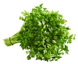 Glatte Petersilie im Angebot bei REWE in Wiesbaden Glatte Petersilie Angebote bei REWE Wiesbaden für 1,29 €