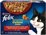 Katzennahrung Sensations Gelees Angebote von Felix bei Kaufland Neubrandenburg für 3,79 €