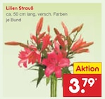 Geschenkartikel im Netto Marken-Discount Prospekt Lilien Strauß im aktuellen Netto Marken-Discount Prospekt für 3,79 €