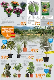 Aktueller Globus-Baumarkt Prospekt mit Gartenerde, "Immer eine Idee besser", Seite 2