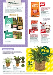 Offre Plantes dans le catalogue Truffaut du moment à la page 3