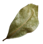 Leckere Gyrossuppe im Angebot bei REWE in Soest Leckere Gyrossuppe Angebote von Schäfermeier bei REWE Soest für 5,49 €