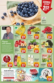 Ähnliche Angebote wie Terrarium im Prospekt "Dein Markt" auf Seite 6 von REWE in Augsburg