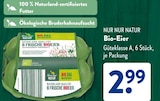 Bio-Eier im Angebot bei ALDI SÜD in Passau Bio-Eier Angebote von Nur Nur Natur bei ALDI SÜD Passau für 2,99 €