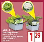 Salat- & Gemüsepflanzen im aktuellen EDEKA Prospekt