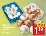 Champignons weiß von GUT&GÜNSTIG im aktuellen E center Prospekt