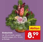 Grabschale im Angebot bei Netto Marken-Discount in Euskirchen Grabschale Angebote bei Netto Marken-Discount Euskirchen für 8,99 €