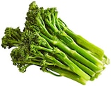 Stangen-Broccoli Bimi im Angebot bei REWE in Hennef Stangen-Broccoli Bimi Angebote von Bimi bei REWE Hennef für 1,99 €