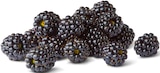 Deutsche Brombeeren im Penny Prospekt Deutsche Brombeeren von Marktliebe regional von Penny im aktuellen Penny Prospekt für 2,29 €