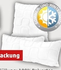 Aktuelle Kopfkissen Angebote bei Penny in Heilbronn Aktuelles Sommer-Winter-Kopfkissen Angebot bei Penny in Heilbronn ab 12,99 €