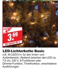 LED-Lichterkette Basic bei bauSpezi im Ebermannstadt Prospekt für 3,69 €