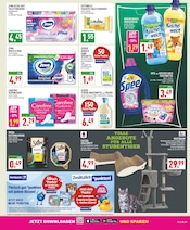 Aktueller Marktkauf Prospekt mit Waschmittel, "Aktuelle Angebote", Seite 17