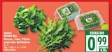 Rucola von EDEKA Bio im aktuellen EDEKA Prospekt