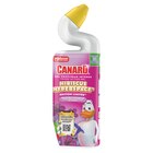 Gel nettoyant WC - CANARD en promo chez Carrefour Market Périgueux à 4,61 €