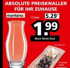 Vase "Bloom" von montana im aktuellen Segmüller Prospekt