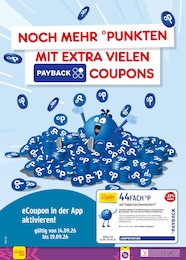 Taschentücher Angebot & Preis im aktuellen Netto Marken-Discount Prospekt Taschentücher Angebot im aktuellen Netto Marken-Discount Prospekt auf Seite 67