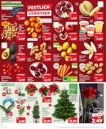 Kaufland Blumentopf im Prospekt 