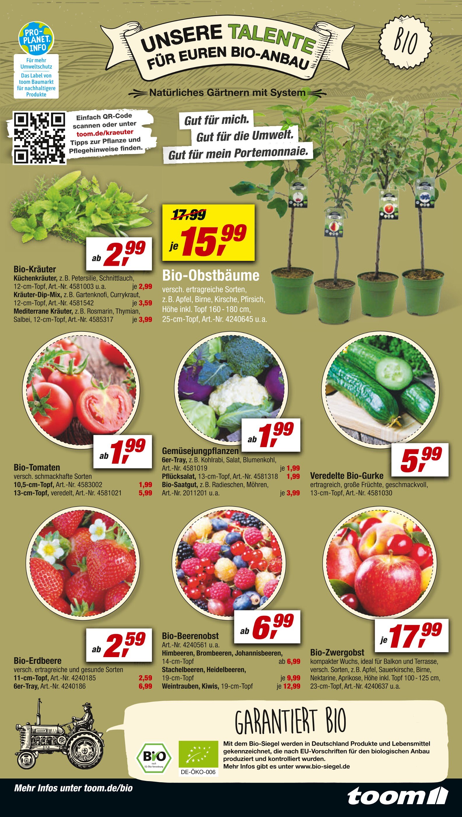 ALDI Nord Erdbeerpflanzen Angebot ᐅ Finde den Preis im aktuellen Prospekt