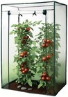 XXL-GEWÄCHSHAUS im Angebot bei Wreesmann in Brandenburg XXL-GEWÄCHSHAUS Angebote von Top Flora bei Wreesmann Brandenburg für 12,99 €