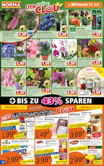 Pflanzen im Norma Prospekt "Mehr fürs Geld" mit 16 Seiten (Krefeld)