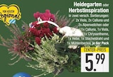 Heidegarten bei EDEKA im Ruhmannsfelden Prospekt für 5,99 €