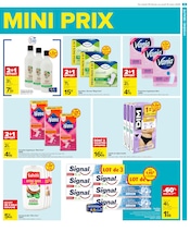 Promos Nana dans le catalogue "SPÉCIAL MAXI FORMAT" de Carrefour à la page 7