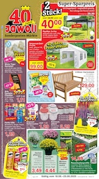 Discounter Prospekt von Jawoll in Crimmitschau Aktueller Jawoll Discounter Prospekt für Crimmitschau: Sonderposten-Märkte mit 12} Seiten, 18.08.2025 - 23.08.2025