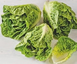 Aktuelle Salat Angebote bei tegut in Frankfurt (Main) Aktuelles Salatherzen Angebot bei tegut in Frankfurt (Main) ab 0,99 €