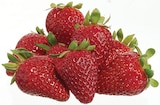 Aktuelle Erdbeeren Angebote bei METRO in Koblenz Aktuelles Erdbeeren Angebot bei METRO in Koblenz ab 3,84 €
