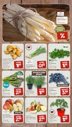 Spargel Angebot im aktuellen nahkauf Prospekt auf Seite 3