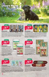 Kiebitzmarkt Katzennassfutter im Prospekt 