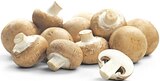 Braune Champignons im REWE Prospekt Braune Champignons von REWE Regional im aktuellen REWE Prospekt für 1,49 €
