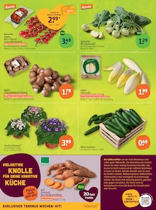 Blumen Angebot im tegut Prospekt, gültig von 26.01.2026 bis 31.01.2026 Blumen Angebot im aktuellen tegut Prospekt auf Seite 4