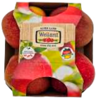 Tafeläpfel Elstar bei EDEKA im Wittorf Prospekt für 1,99 €