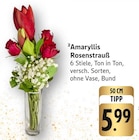 Amaryllis Rosenstrauß im Angebot bei E center in St. Ingbert Amaryllis Rosenstrauß Angebote bei E center St. Ingbert für 5,99 €