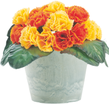 Serre De Jardin - Gifi Serre De Jardin à 8,00 € dans le catalogue Gifi "Vive la frousse"