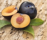 Aktuelles Blaue Pflaumen Angebot bei REWE in Köln ab 3,99 €