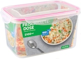 Frischhaltedose im REWE Prospekt Frischhaltedose von Vivess im aktuellen REWE Prospekt für 1,99 €