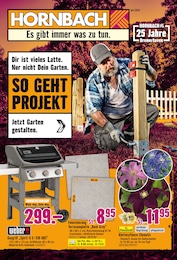 Hornbach Prospekt "Dir ist vieles Latte. Nur nicht Dein Garten.", 33 Seiten, 25.06.2025 - 25.06.2025 Aktueller Hornbach Prospekt, "Dir ist vieles Latte. Nur nicht Dein Garten.", mit Angeboten der Woche, gültig von 25.06.2025 bis 25.06.2025