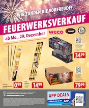 Aktueller famila Nordost Prospekt mit Silvesterfeuerwerk, "besser als gut!", Seite 24