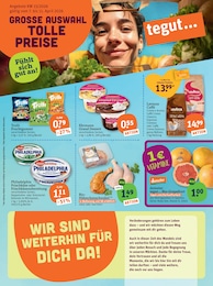 tegut Frischkaese im Prospekt 