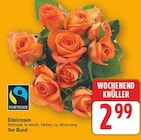 Edelrosen von Fairtrade für 2,99 € bei E center im Angebot Edelrosen von Fairtrade im aktuellen E center Prospekt