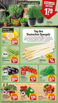 Pflanzen im REWE Prospekt "Dein Markt" mit 16 Seiten (Heidelberg)