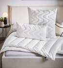 Ganzjahresbett im Angebot bei XXXLutz Möbelhäuser in Grevenbroich Ganzjahresbett Angebote von Centa-Star bei XXXLutz Möbelhäuser Grevenbroich für 29,99 €